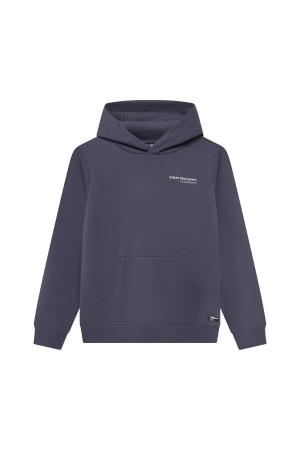 Indian Blue Jeans Hoodie Rugprint Brushed Dusty Dark Purple