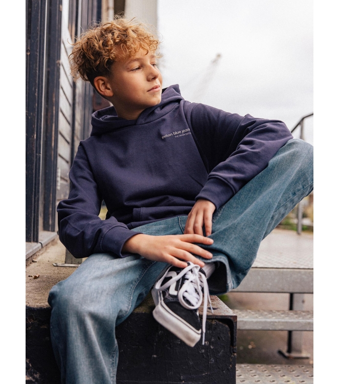 Indian Blue Jeans truien Dusty Dark Purple 960765