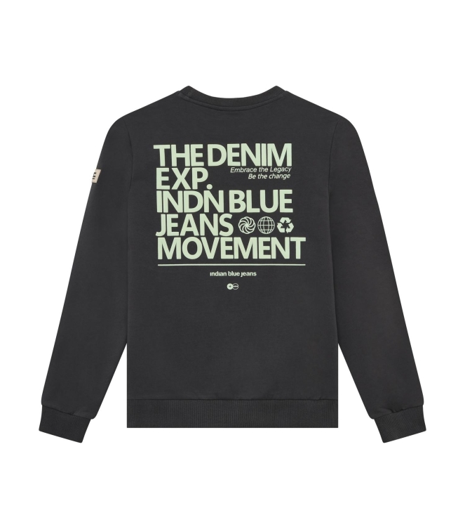Indian Blue Jeans truien Antra Ash 960757