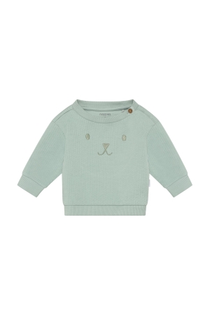 Noppies Sweater Jadelle