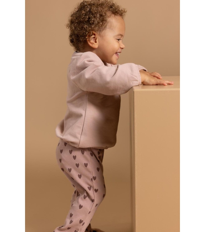 Noppies truien Adobe Rose 6130037
