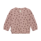 Noppies truien Adobe Rose 6130063