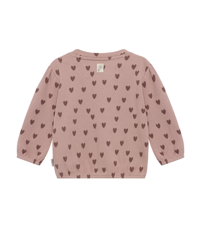 Noppies truien Adobe Rose 6130063