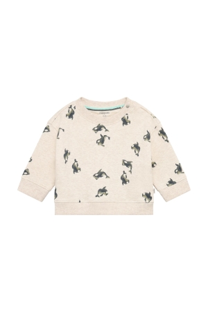 Noppies Sweater Sand Melange