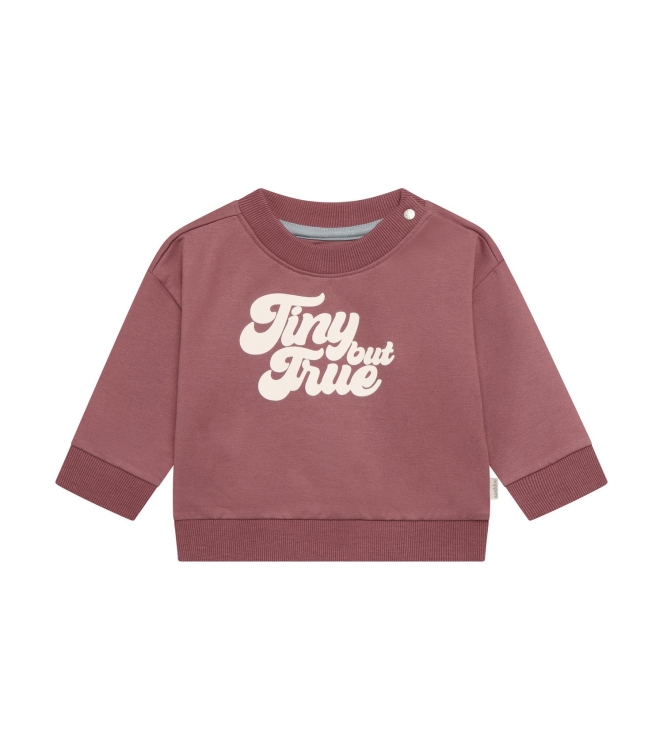 Noppies truien Baked Cherry 6170019