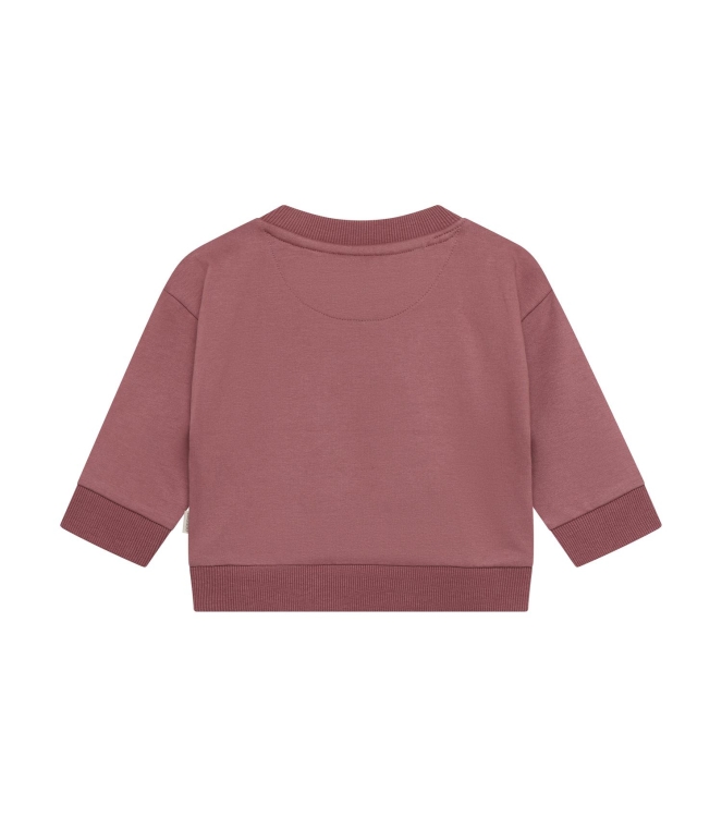 Noppies truien Baked Cherry 6170019