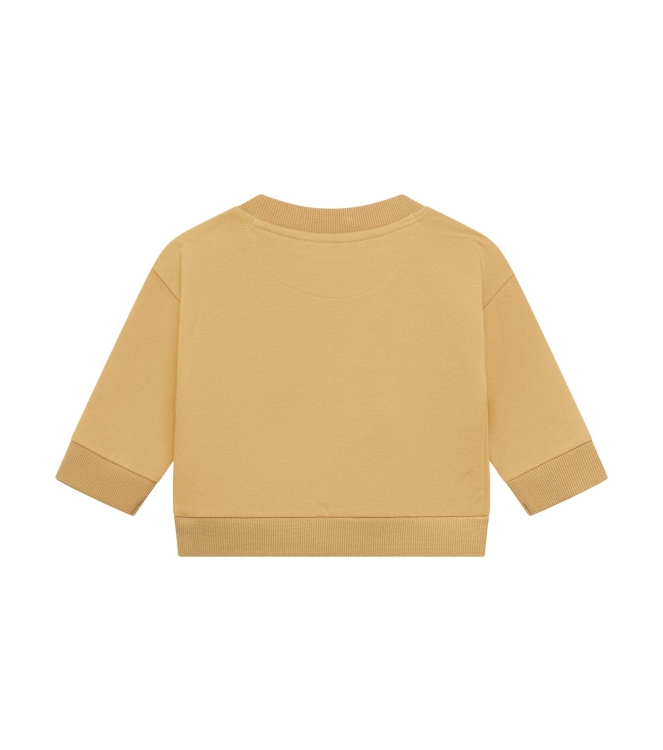 Noppies truien Lark 6170031