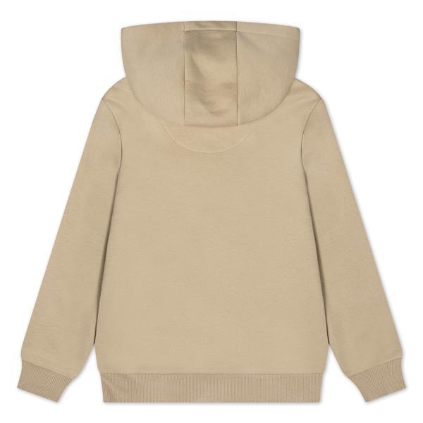 Lacoste truien Viennois 47028