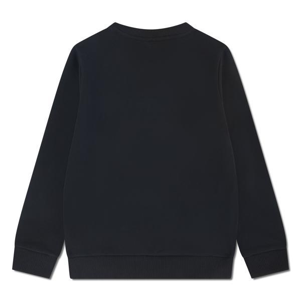 Lacoste truien Noir 47029