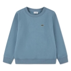 Lacoste truien Aral 47879