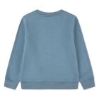 Lacoste truien Aral 47879