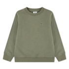 Lacoste truien Kaki 47879
