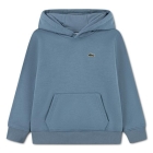 Lacoste truien Aral 47883