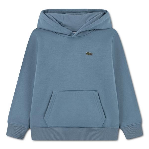Lacoste truien Aral 47883