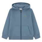 Lacoste vesten Aral 47884