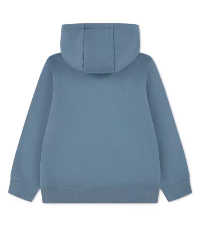 Lacoste vesten Aral 47884