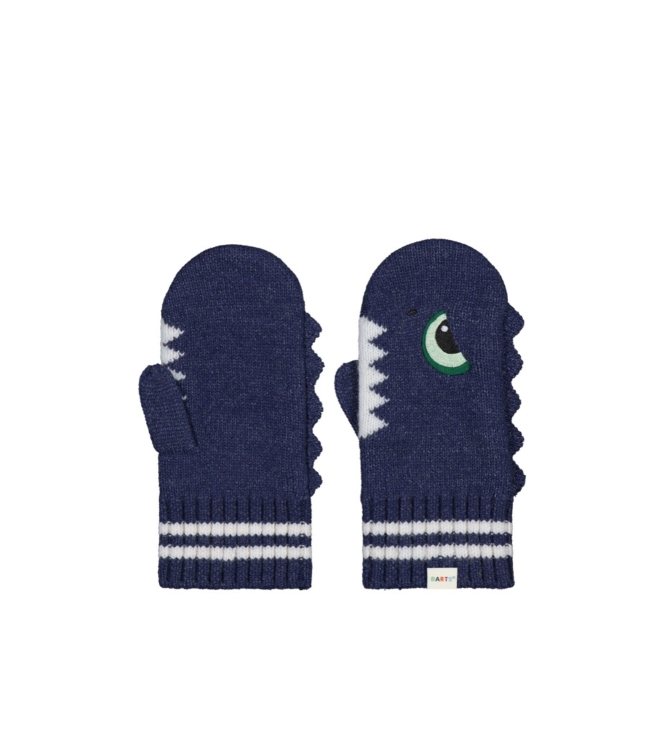 Barts winteraccessoires Navy 7031