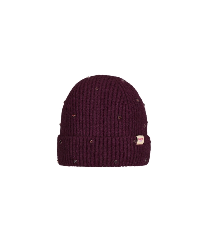 Barts winteraccessoires Aubergine 7041