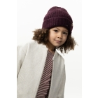 Barts winteraccessoires Aubergine 7041