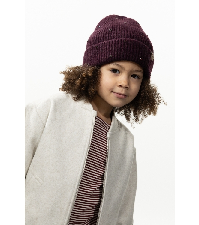 Barts winteraccessoires Aubergine 7041