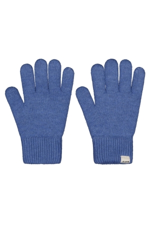 Barts Basalth Handschoenen Blue