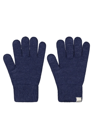 Barts Basalth Handschoenen Navy