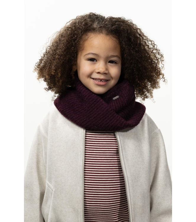 Barts winteraccessoires Aubergine 7086