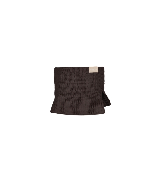 Barts winteraccessoires Brown 7328