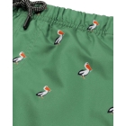 Shiwi zwemkleding 710 Sage Green 2441110236