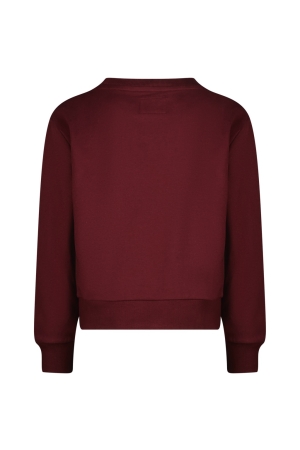 Raizzed truien & vesten 650 Sangria Red R224KGN34005