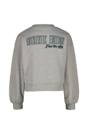 Raizzed truien & vesten 910 Grey Mele R224KGN34008