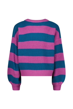 Raizzed truien & vesten 1240 Brilliant pink R224KGN34202
