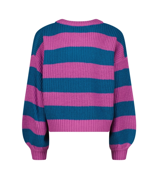 Raizzed truien & vesten 1240 Brilliant pink R224KGN34202