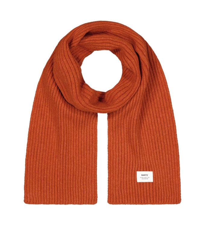 Barts winteraccessoires Orange 4251
