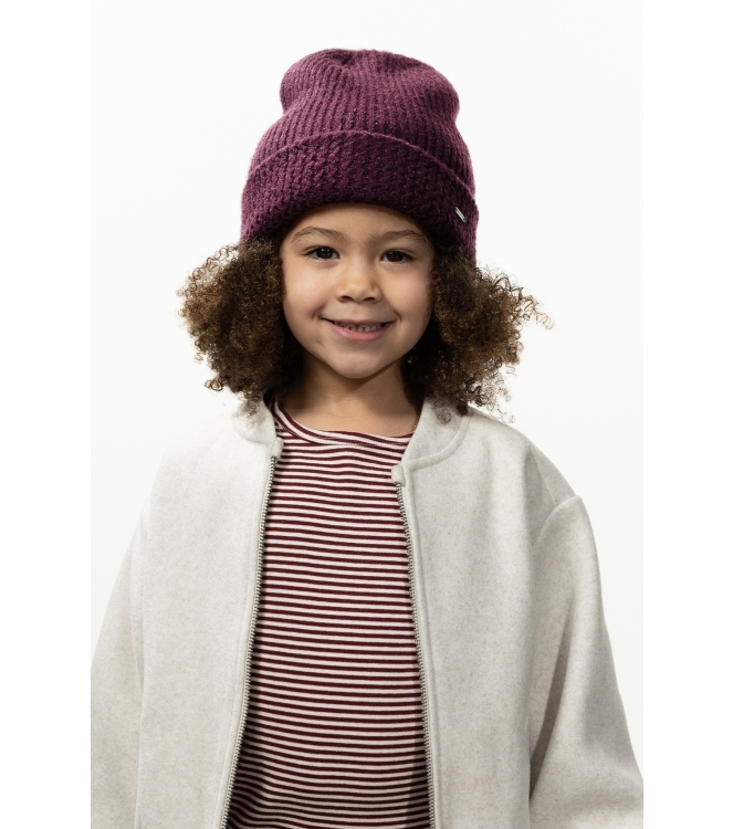 Barts winteraccessoires Aubergine 6157