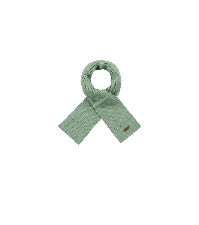 Barts winteraccessoires 13 Sage 6213