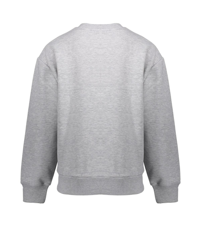 Geisha truien & vesten 000900 - grey melange 42612K-41