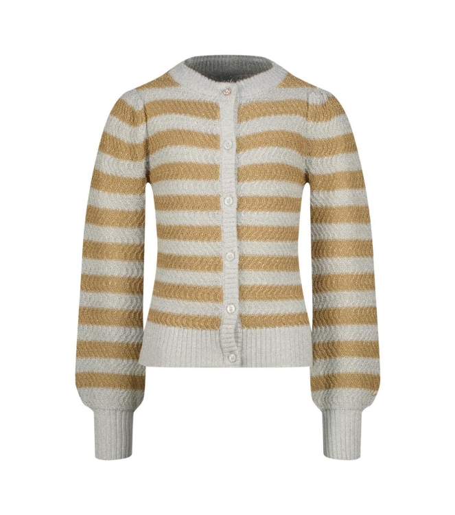 Vingino truien & vesten 317 Gold CR25KGN38202