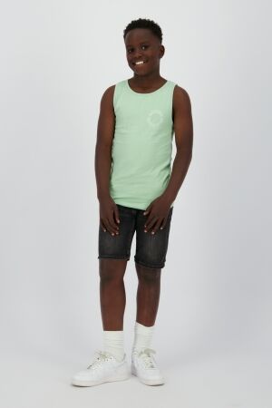 Raizzed shirts 1463 Soft green R325KBN36201