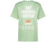 Raizzed shirts 1463 Soft green R325KBN30004