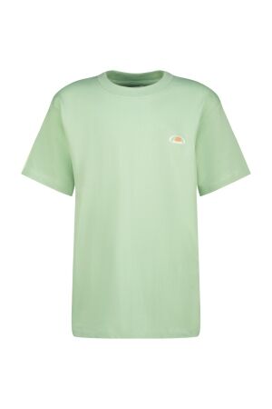 Raizzed shirts 1463 Soft green R325KBN30004