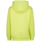 Raizzed truien & vesten 314 Pastel Lime R125KBN34004