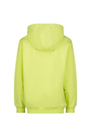 Raizzed truien & vesten 314 Pastel Lime R125KBN34004