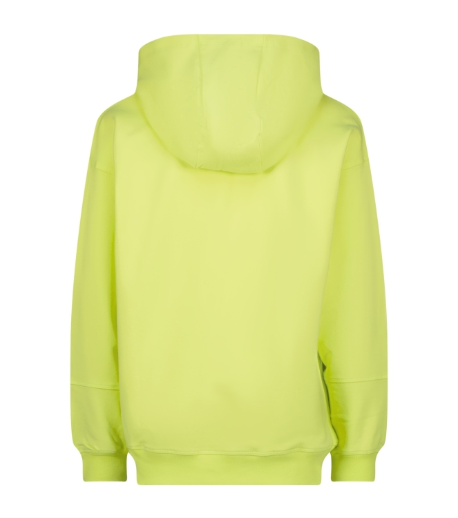 Raizzed truien & vesten 314 Pastel Lime R125KBN34004