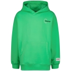 Raizzed truien & vesten 1462 Irish fresh green R125KBN34005