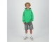 Raizzed truien & vesten 1462 Irish fresh green R125KBN34005