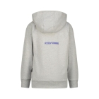 Raizzed truien & vesten 900 Light Grey Melee R125KBN34601