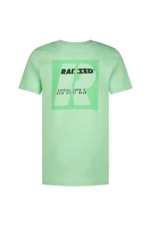 Raizzed Hoosic T-shirt 251 Fresh opal
