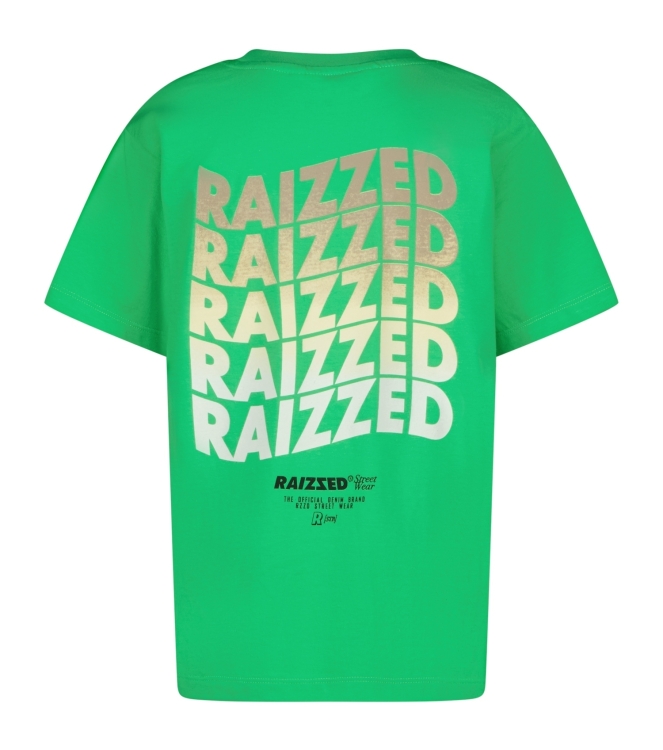 Raizzed shirts 1462 Irish fresh green R125KBN30015