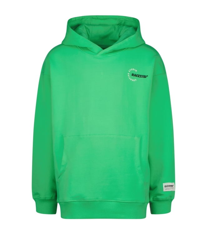 Raizzed truien & vesten 1462 Irish fresh green R125KBN34005